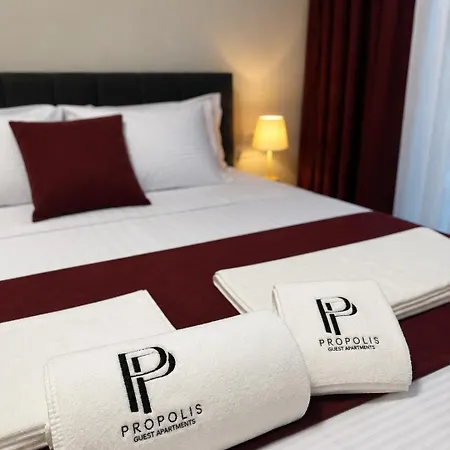 Appartamento Propolis Guest Momchilgrad